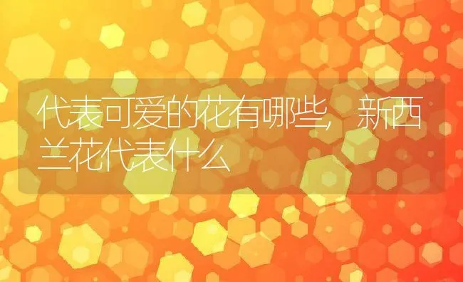 代表可爱的花有哪些,新西兰花代表什么 | 养殖常见问题