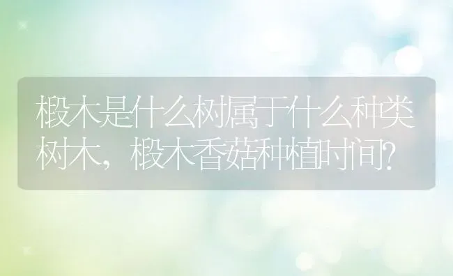 椴木是什么树属于什么种类树木,椴木香菇种植时间？ | 养殖常见问题