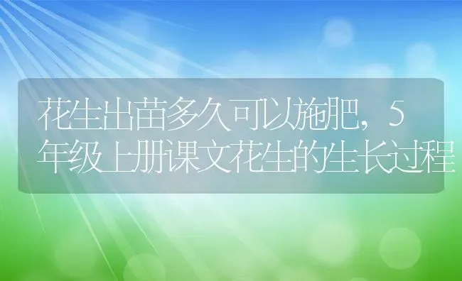 花生出苗多久可以施肥,5年级上册课文花生的生长过程 | 养殖常见问题