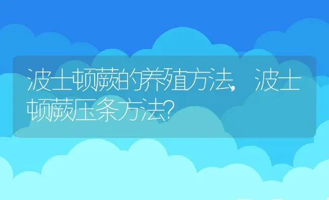 波士顿蕨的养殖方法,波士顿蕨压条方法？ | 养殖常见问题