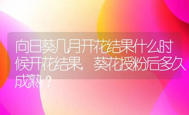 向日葵几月开花结果什么时候开花结果,葵花授粉后多久成熟？ | 养殖常见问题