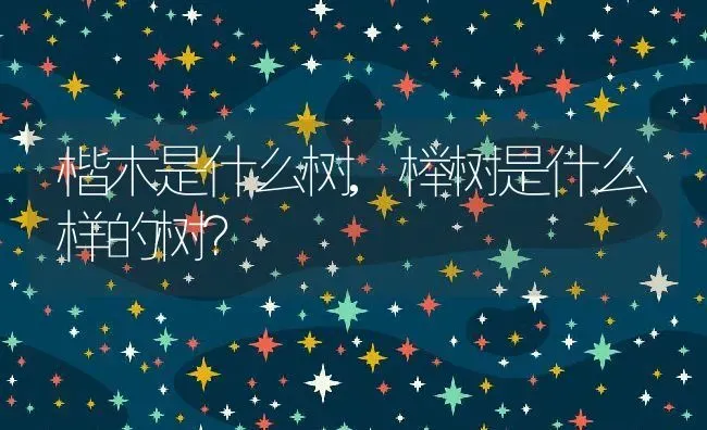 楷木是什么树,榉树是什么样的树？ | 养殖常见问题