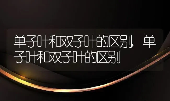 单子叶和双子叶的区别,单子叶和双子叶的区别 | 养殖常见问题