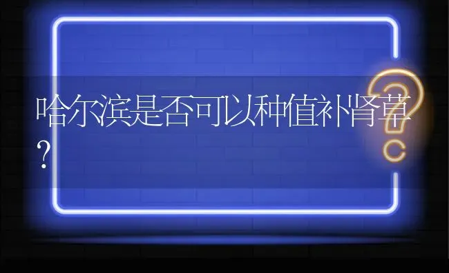 哈尔滨是否可以种值补肾草? | 养殖问题解答