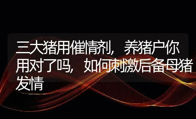 solo追星什么意思,韩团里有什么是粉不会承认的事实 | 养殖常见问题
