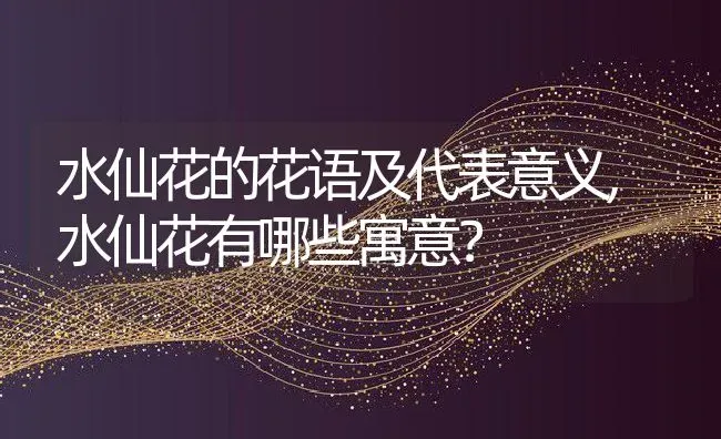 水仙花的花语及代表意义,水仙花有哪些寓意？ | 养殖常见问题