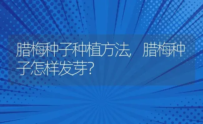 腊梅种子种植方法,腊梅种子怎样发芽？ | 养殖常见问题