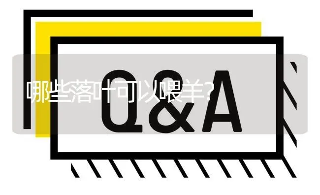 哪些落叶可以喂羊? | 养殖问题解答