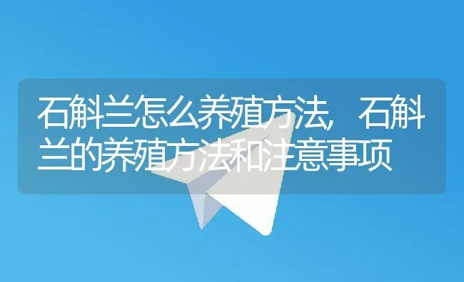 石斛兰怎么养殖方法,石斛兰的养殖方法和注意事项 | 养殖常见问题