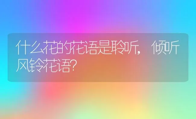 什么花的花语是聆听,倾听风铃花语？ | 养殖常见问题