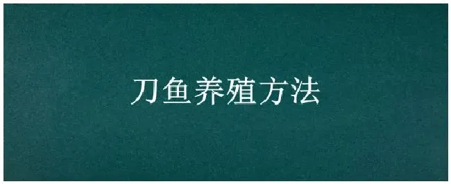 刀鱼养殖方法 | 三农答疑