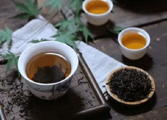 植物常识问题|茶叶的功效与作用