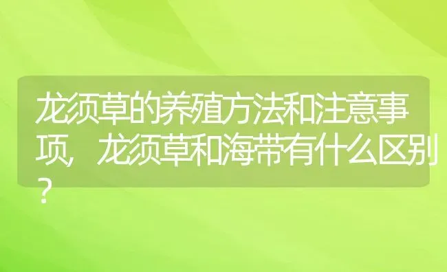 龙须草的养殖方法和注意事项,龙须草和海带有什么区别？ | 养殖常见问题