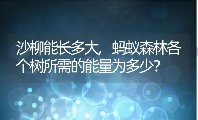 沙柳能长多大,蚂蚁森林各个树所需的能量为多少？ | 养殖常见问题