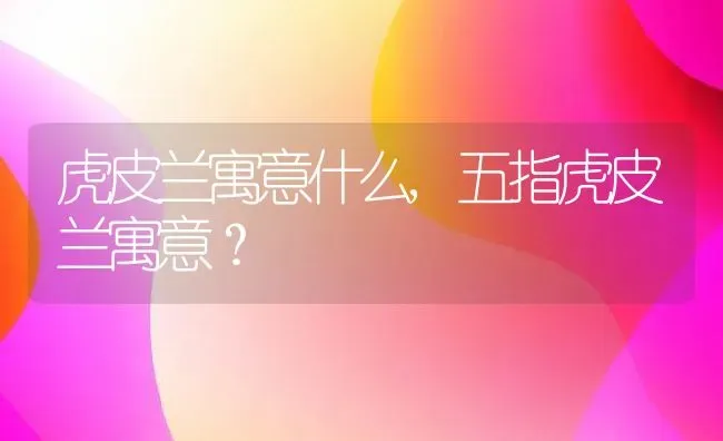 虎皮兰寓意什么,五指虎皮兰寓意？ | 养殖常见问题
