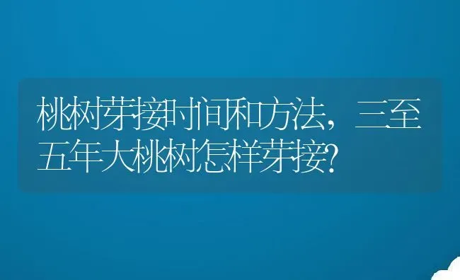 桃树芽接时间和方法,三至五年大桃树怎样芽接？ | 养殖常见问题