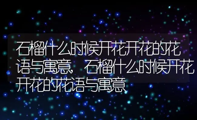 石榴什么时候开花开花的花语与寓意,石榴什么时候开花开花的花语与寓意 | 养殖常见问题
