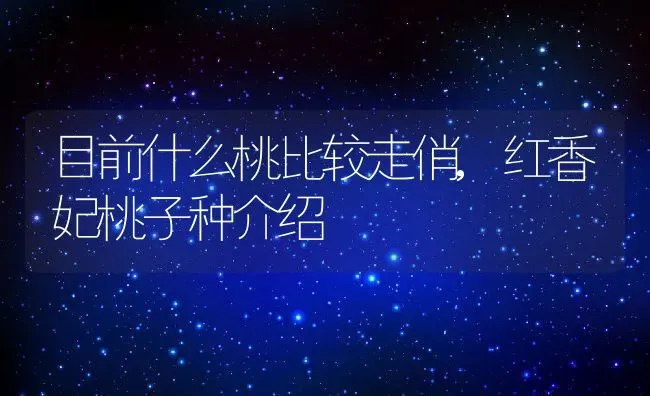 松树盆景怎么修剪方法,松树修剪最佳时间是几月份？ | 养殖常见问题