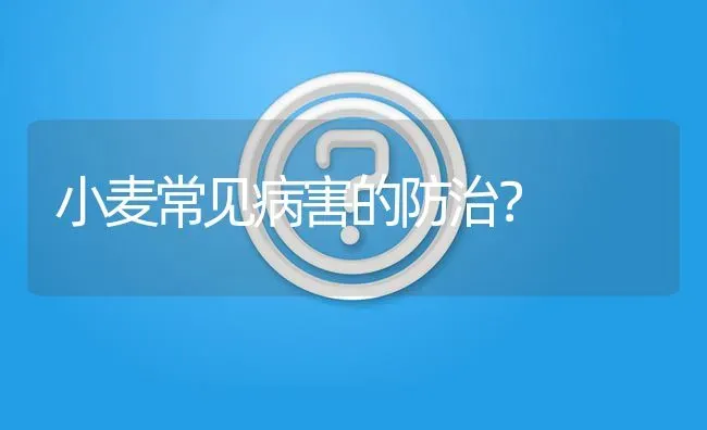 小麦常见病害的防治? | 养殖问题解答