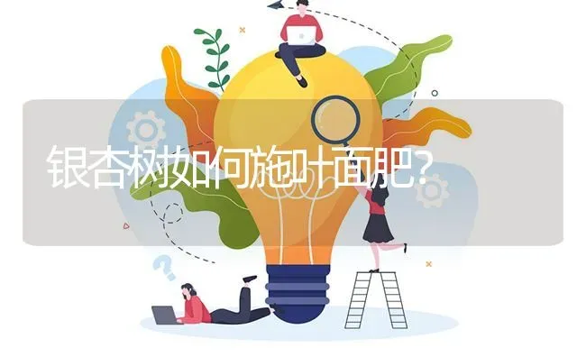 银杏树如何施叶面肥? | 养殖问题解答