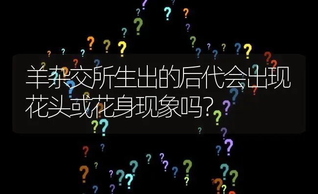 羊杂交所生出的后代会出现花头或花身现象吗? | 养殖问题解答