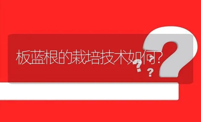 板蓝根的栽培技术如何? | 养殖问题解答