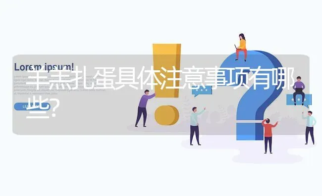 羊羔扎蛋具体注意事项有哪些? | 养殖问题解答