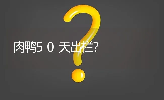 肉鸭50天出栏? | 养殖问题解答