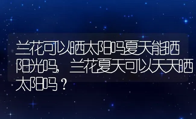 兰花可以晒太阳吗夏天能晒阳光吗,兰花夏天可以天天晒太阳吗？ | 养殖常见问题