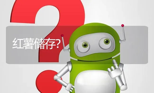 小香猪养殖前景如何及何处供种? | 养殖问题解答