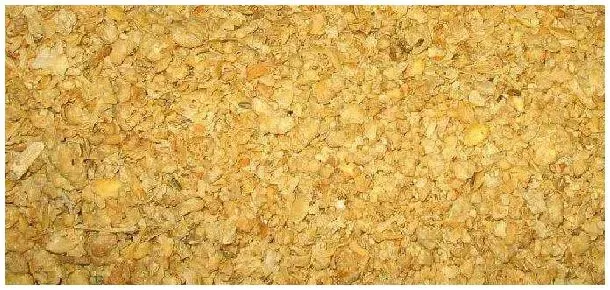 豆粕喂牛用开水泡吗 | 科普知识