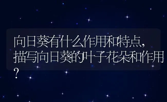 向日葵有什么作用和特点,描写向日葵的叶子花朵和作用？ | 养殖常见问题
