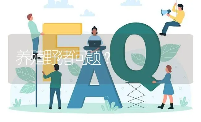 养殖野猪问题? | 养殖问题解答