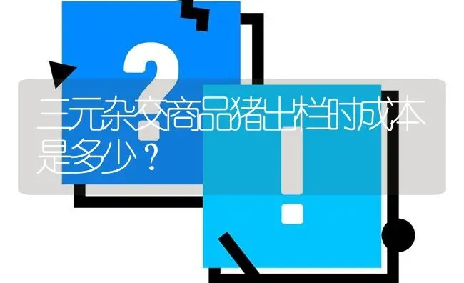 三元杂交商品猪出栏时成本是多少? | 养殖问题解答