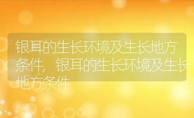 银耳的生长环境及生长地方条件,银耳的生长环境及生长地方条件 | 养殖常见问题