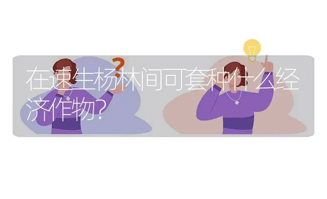 在速生杨林间可套种什么经济作物? | 养殖问题解答