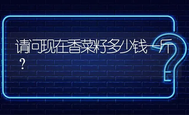 露地栽培的蔬菜品种有哪些? | 养殖问题解答