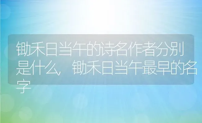 锄禾日当午的诗名作者分别是什么,锄禾日当午最早的名字 | 养殖常见问题