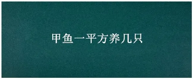 甲鱼一平方养几只 | 三农问答