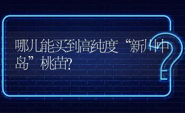 哪儿能买到高纯度“新川中岛”桃苗? | 养殖问题解答
