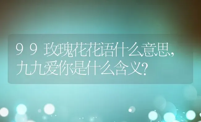 99玫瑰花花语什么意思,九九爱你是什么含义？ | 养殖常见问题