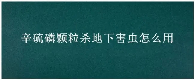 辛硫磷颗粒杀地下害虫怎么用 | 农业问题