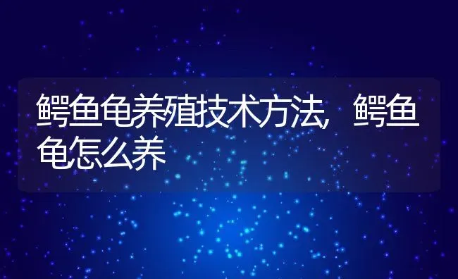 鳄鱼龟养殖技术方法,鳄鱼龟怎么养 | 养殖常见问题