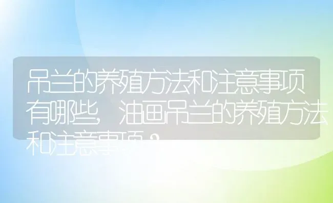 吊兰的养殖方法和注意事项有哪些,油画吊兰的养殖方法和注意事项？ | 养殖常见问题