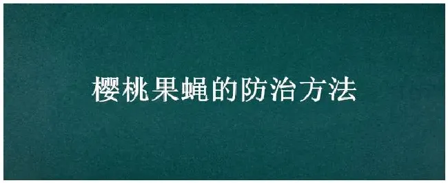 樱桃果蝇的防治方法 | 生活常识