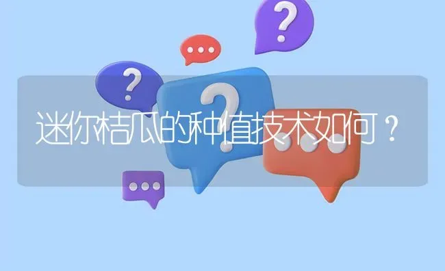 迷你桔瓜的种值技术如何? | 养殖问题解答