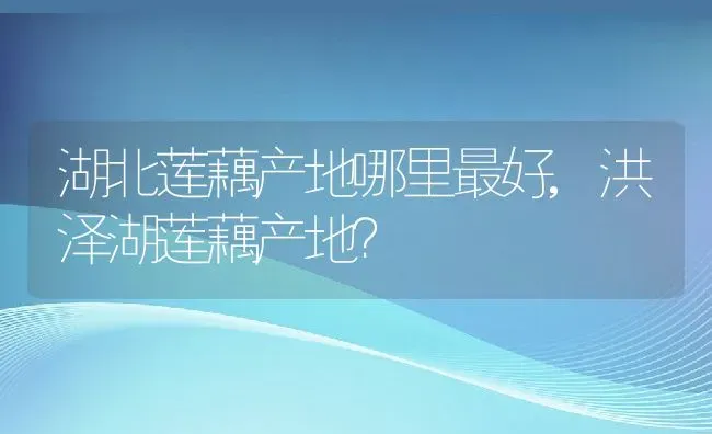 湖北莲藕产地哪里最好,洪泽湖莲藕产地？ | 养殖常见问题