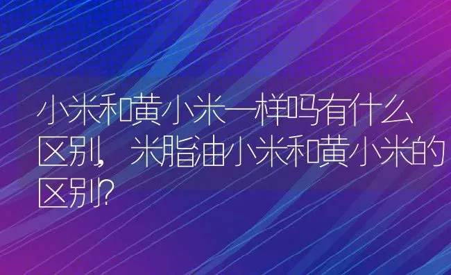 小米和黄小米一样吗有什么区别,米脂油小米和黄小米的区别？ | 养殖常见问题