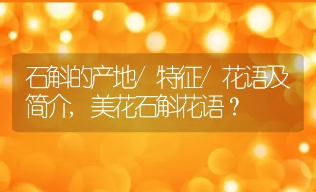 石斛的产地/特征/花语及简介,美花石斛花语？ | 养殖常见问题