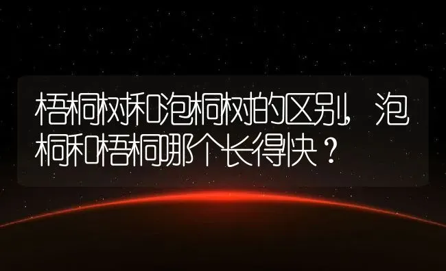 梧桐树和泡桐树的区别,泡桐和梧桐哪个长得快？ | 养殖常见问题